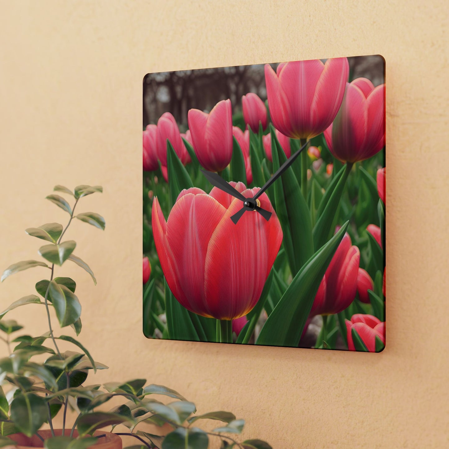Tulips Acrylic Wall Clock (SP Photagrapy Collection)