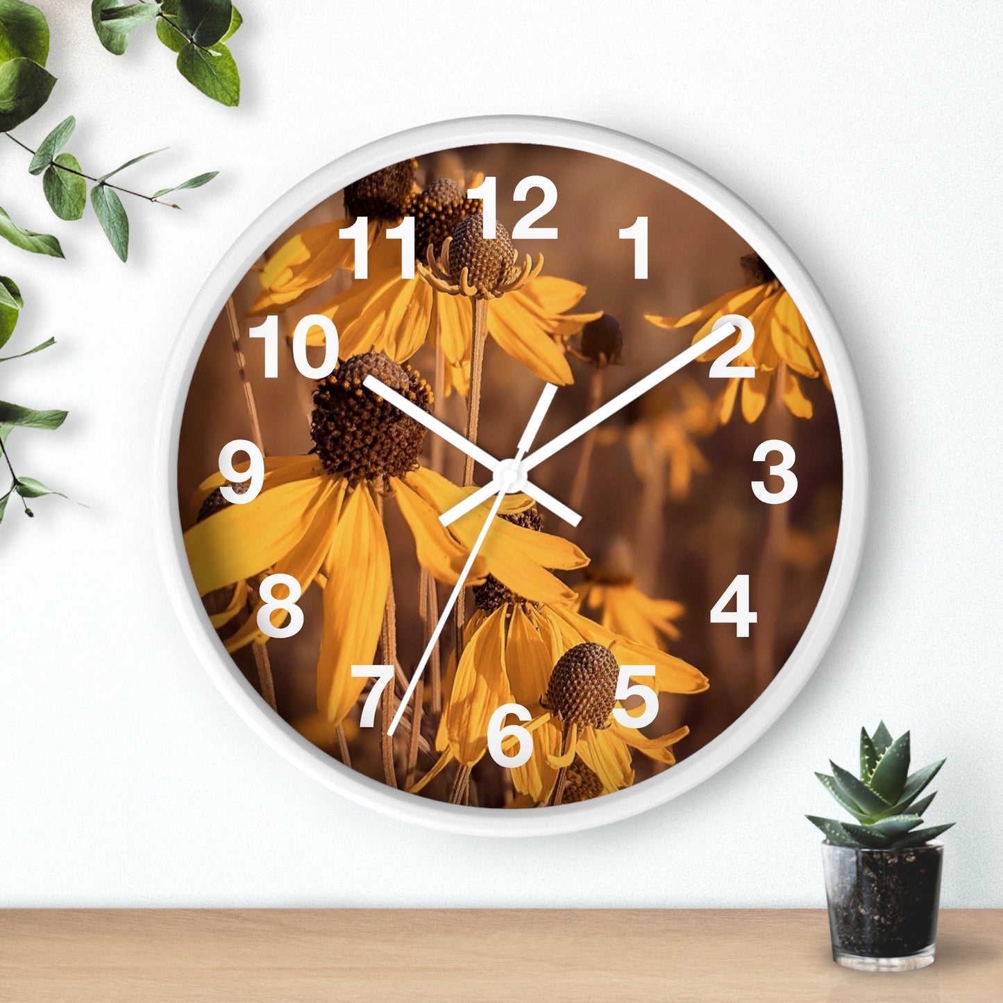 Coneflower Clock (SP Photography Collection)