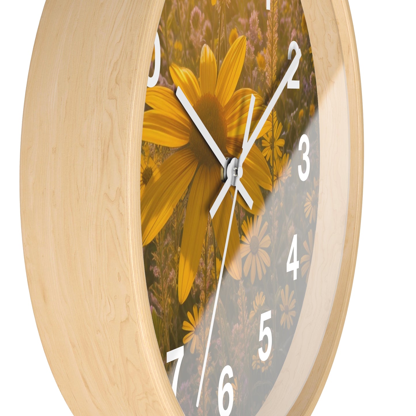 Narrow leaf Clock (SP Photography Collection)