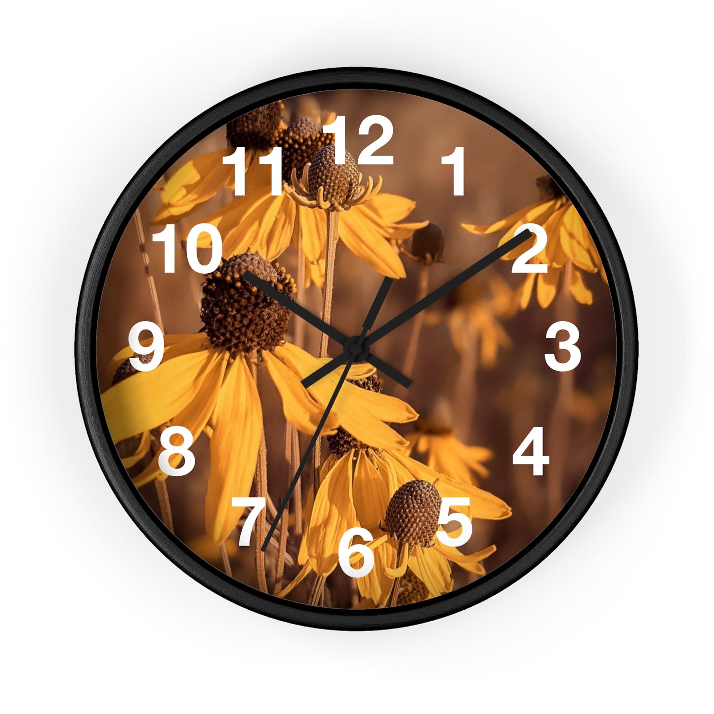 Coneflower Clock (SP Photography Collection)