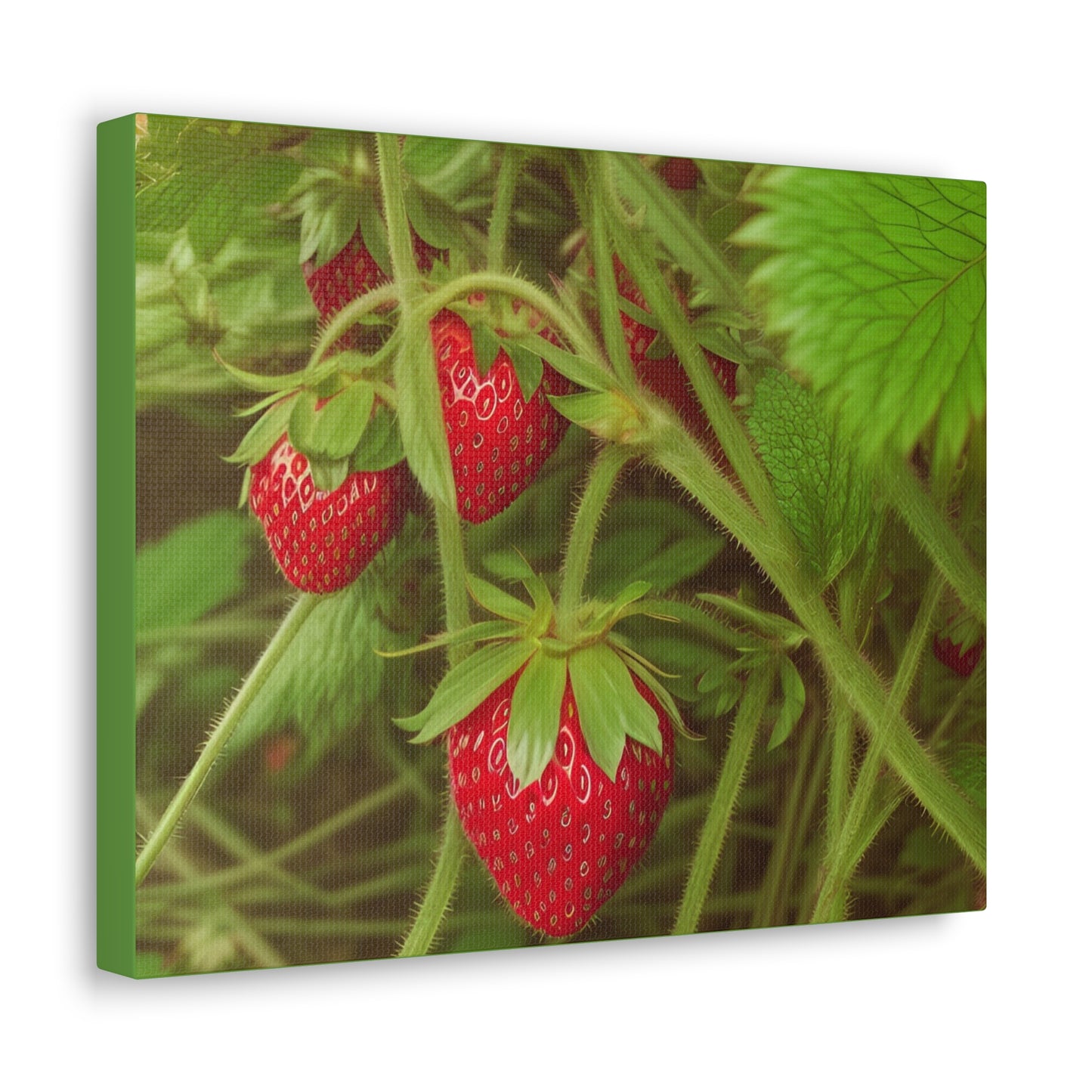Strawberry Canvas Gallery Wrap (SP Photography Collection)