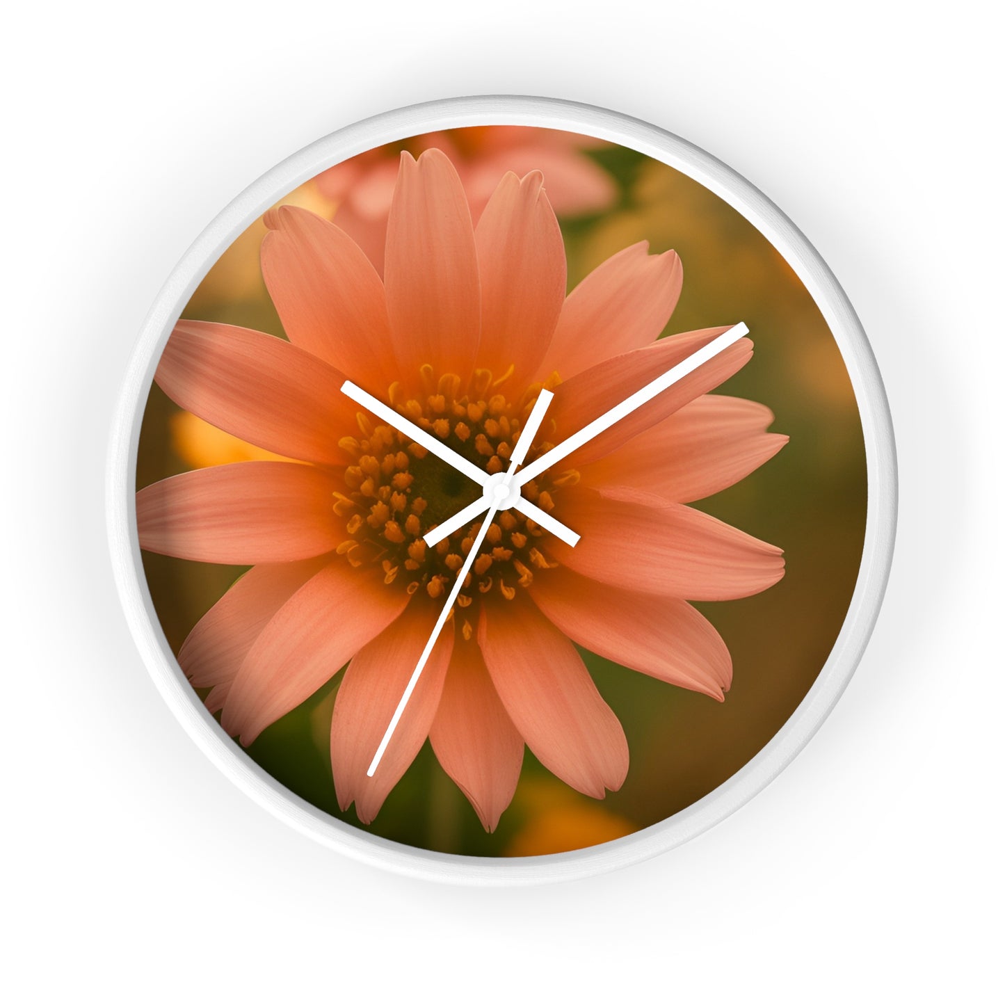 Peach Daisy Wall Clock (SP Photography Collection)