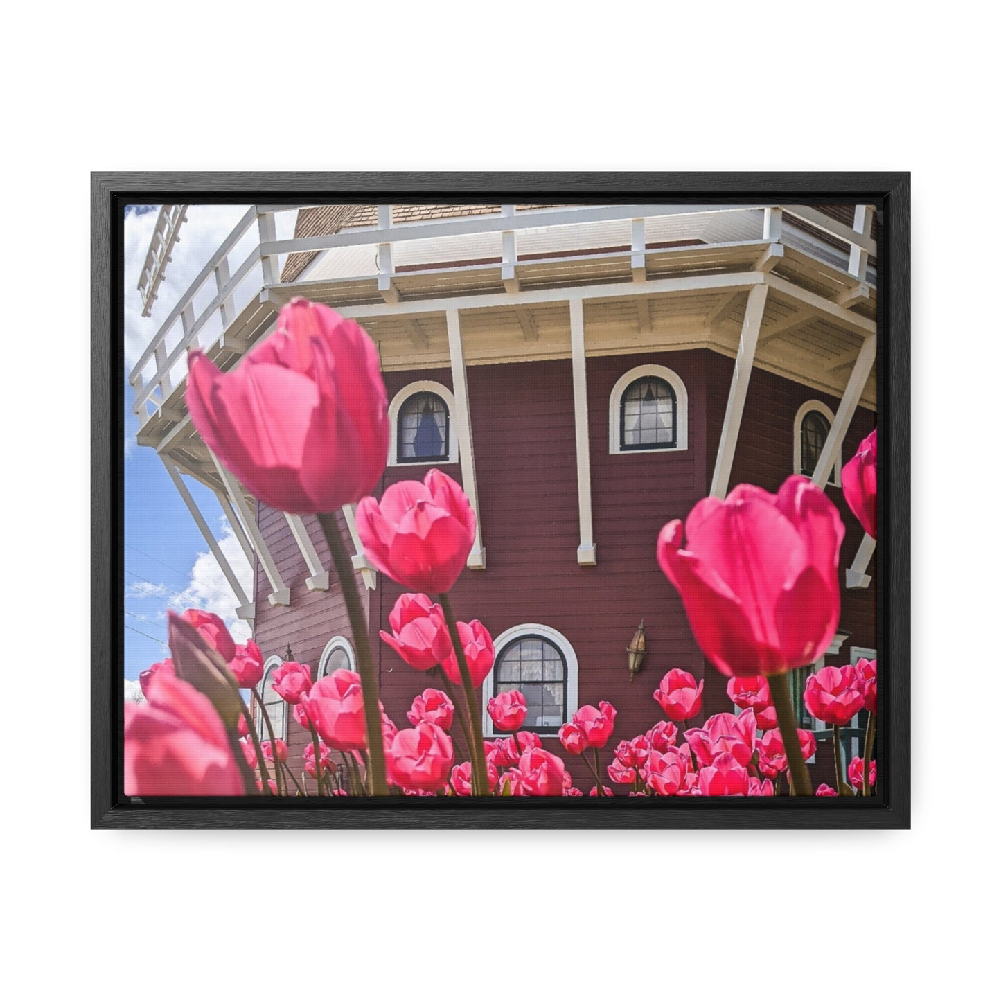 Windmill Pink Tulip Canvas, Horizontal (SP Photography Collection)