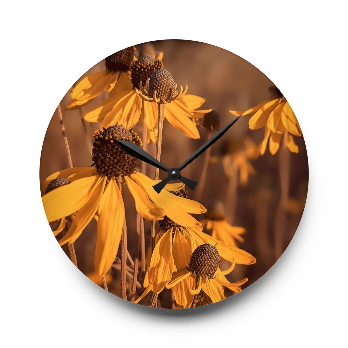 Coneflower Wall Clock (SP Photography Collection)