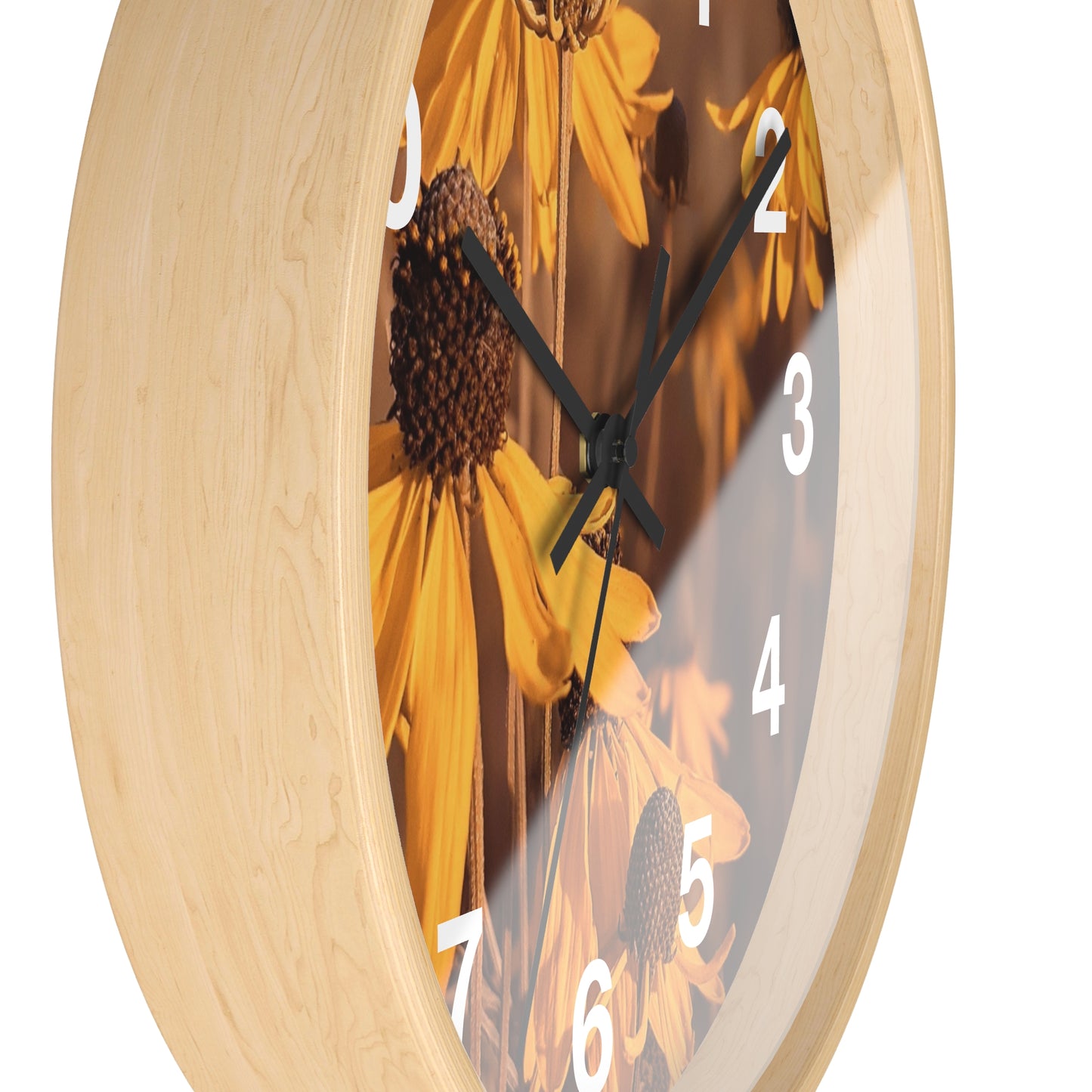 Coneflower Clock (SP Photography Collection)