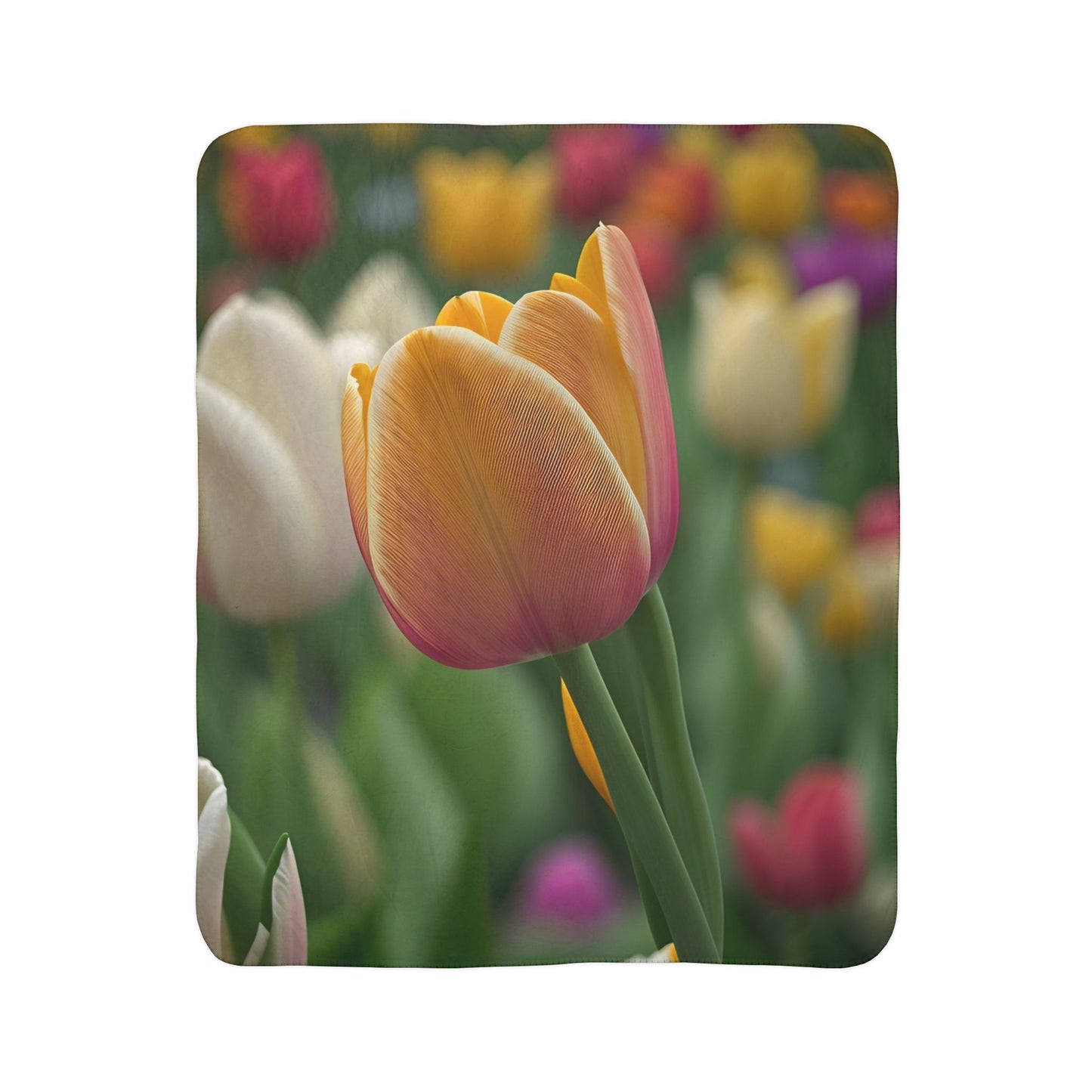 Orange Tulip Fleece Sherpa Blanket (SP Photography Collection)