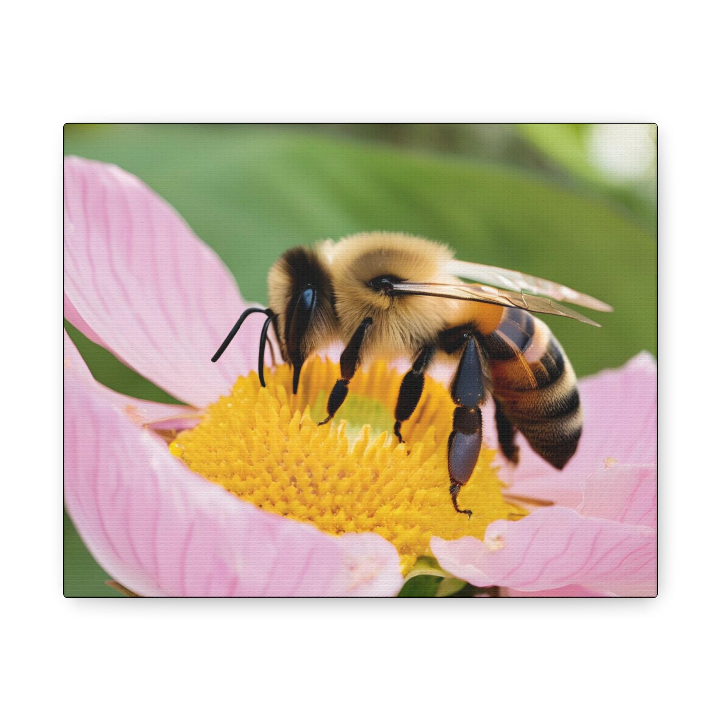 Bumble Bee Gallery Wraps (aiB & J Collections)