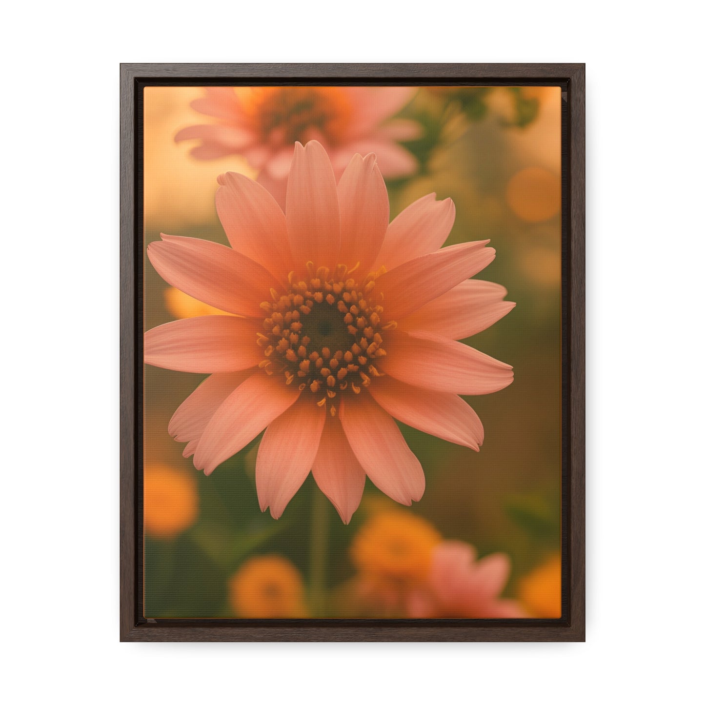 Peach Daisy Canvas Wraps, Vertical Frame (SP Photography Collection)