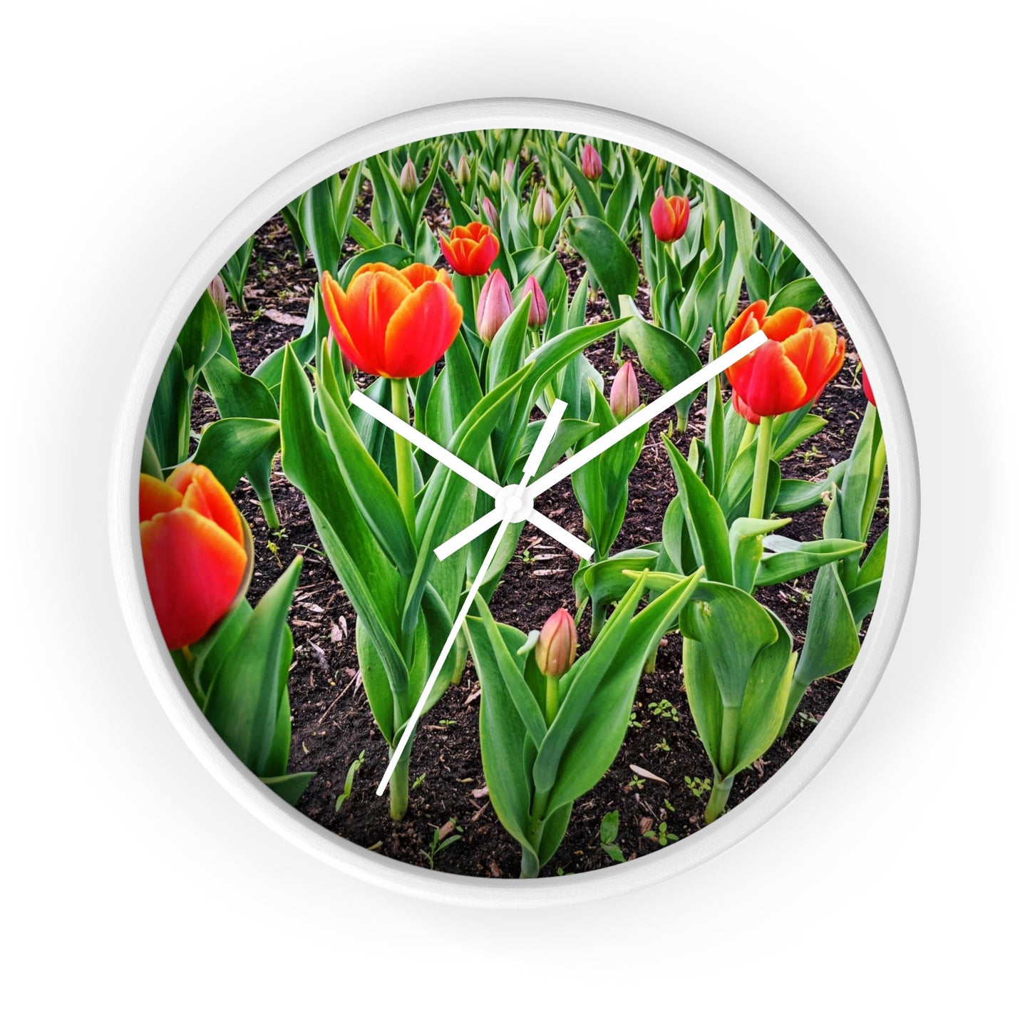 Red Tulips Wall Clock (SP Photography Collection)