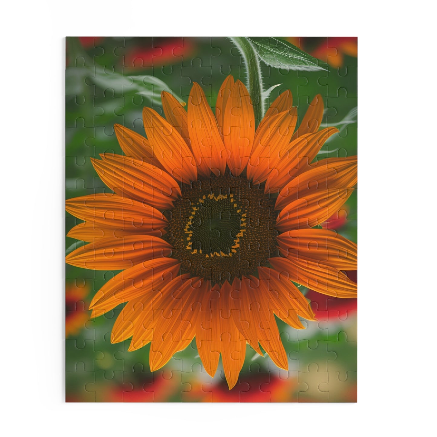 Orange Sunflower Puzzle (SP Photography Collection) (120, 252, 500-Piece)