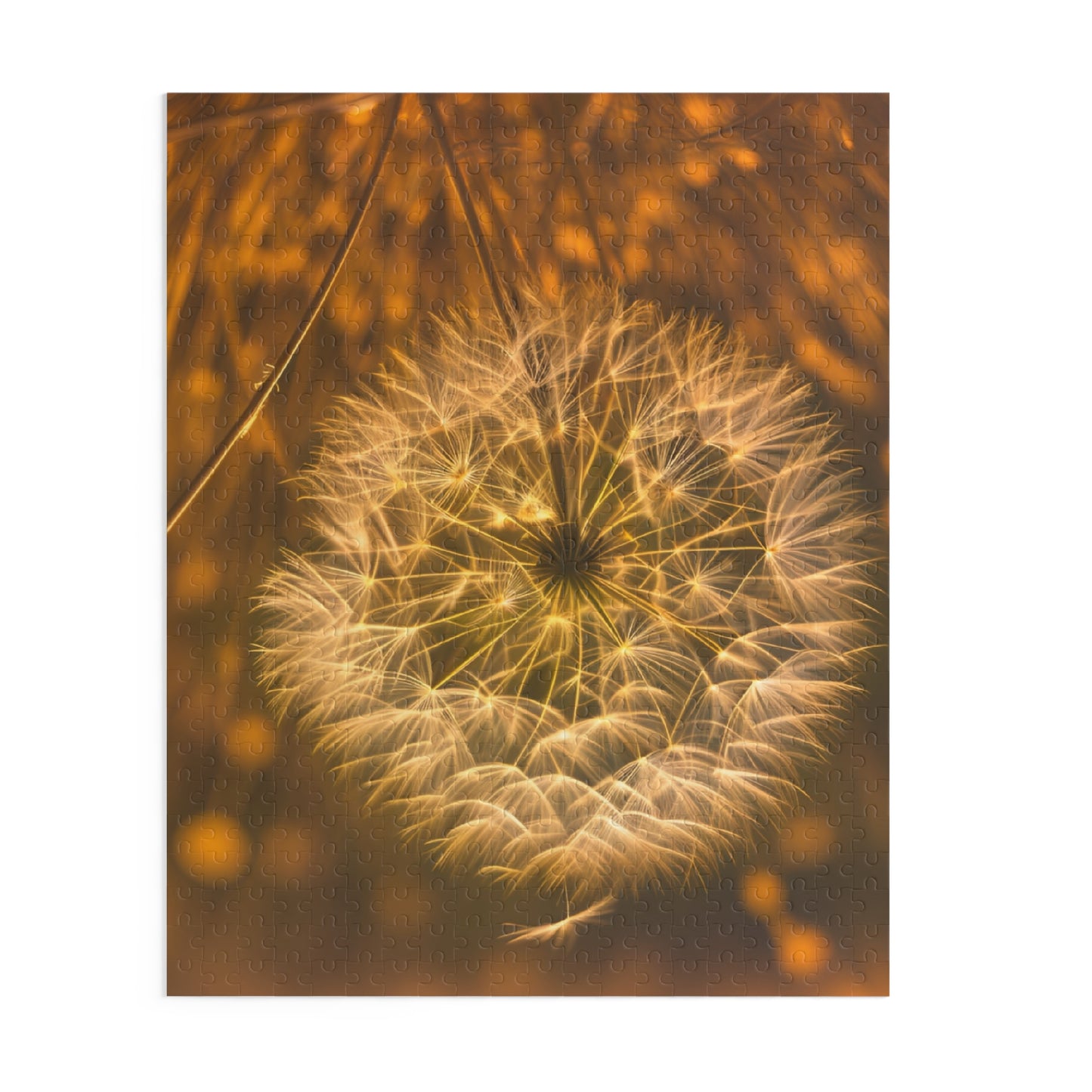 Make a wish Puzzle (SP Photography Collection) (120, 252, 500-Piece)