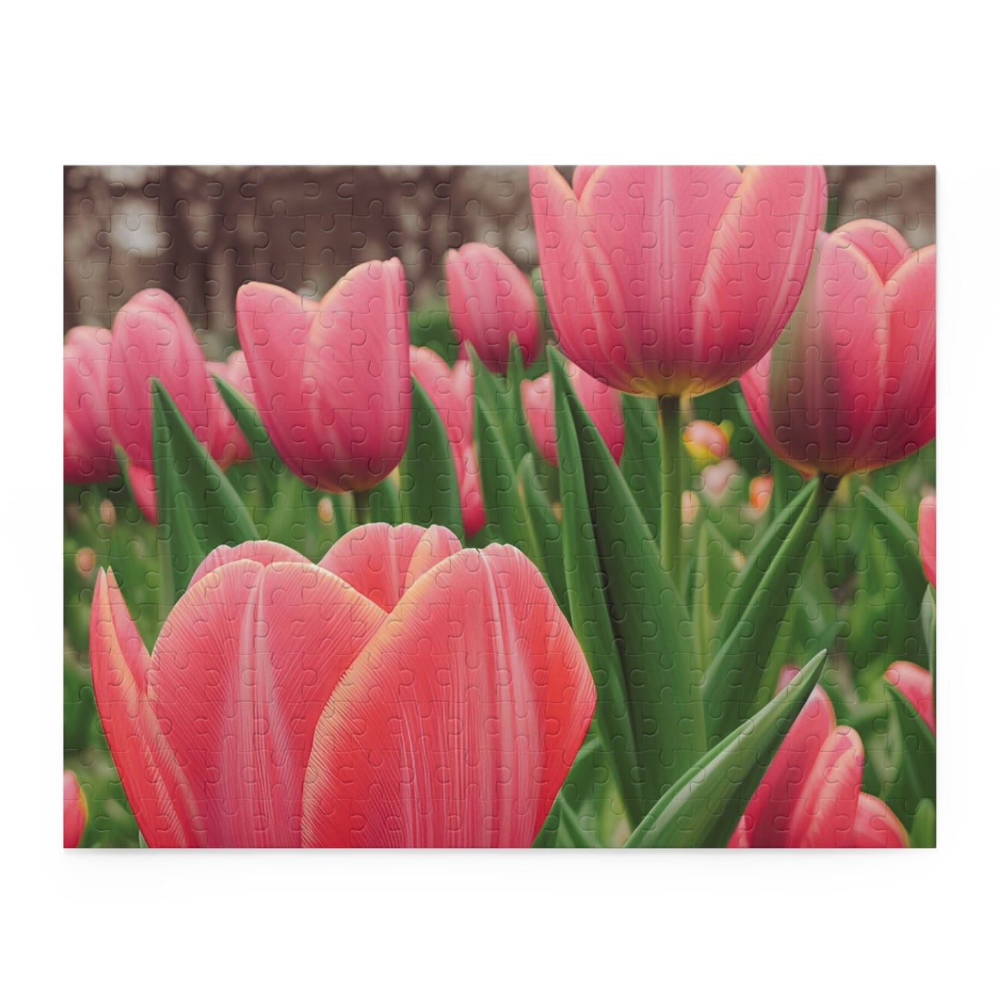 Tulips Puzzle (SP Photography Collection) (120, 252, 500-Piece)