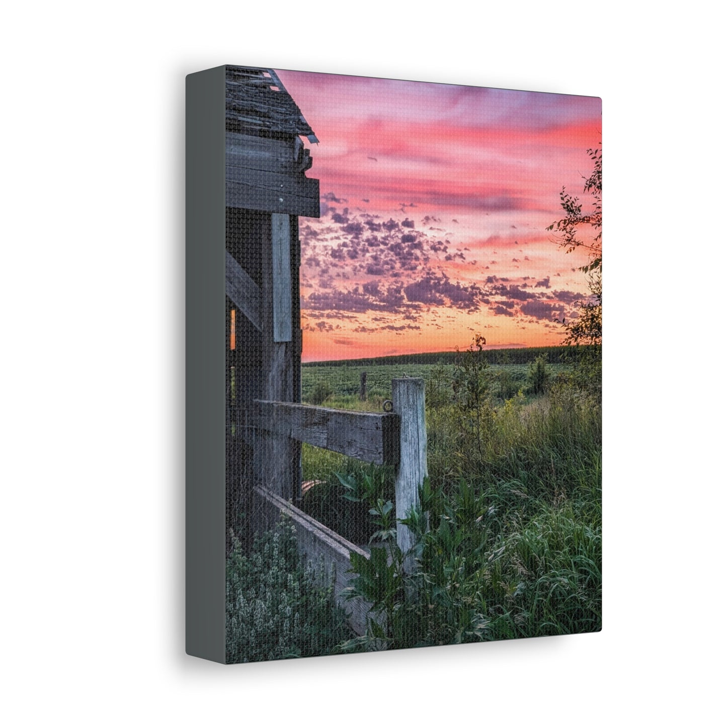 Pink Sky Stretched Canvas (SP Photography Collection)