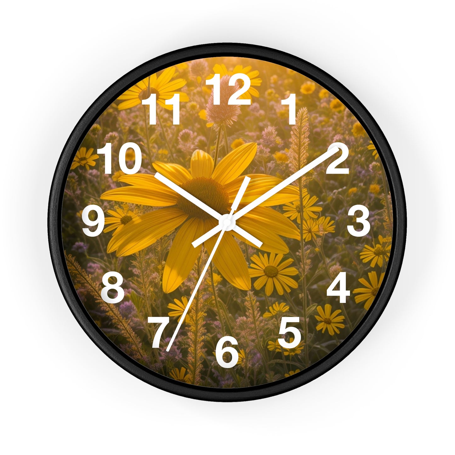 Narrow leaf Clock (SP Photography Collection)