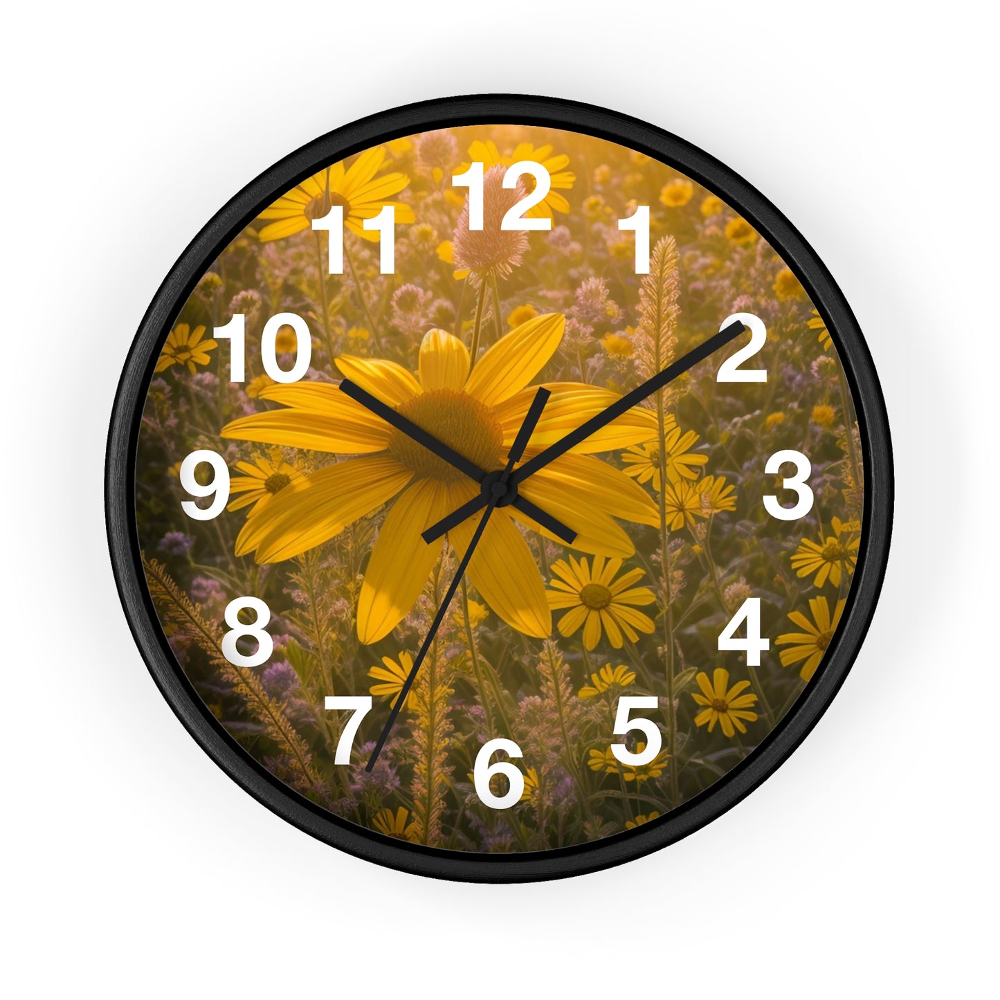 Narrow leaf Clock (SP Photography Collection)