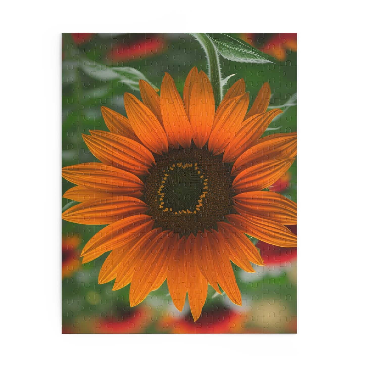 Orange Sunflower Puzzle (SP Photography Collection) (120, 252, 500-Piece)