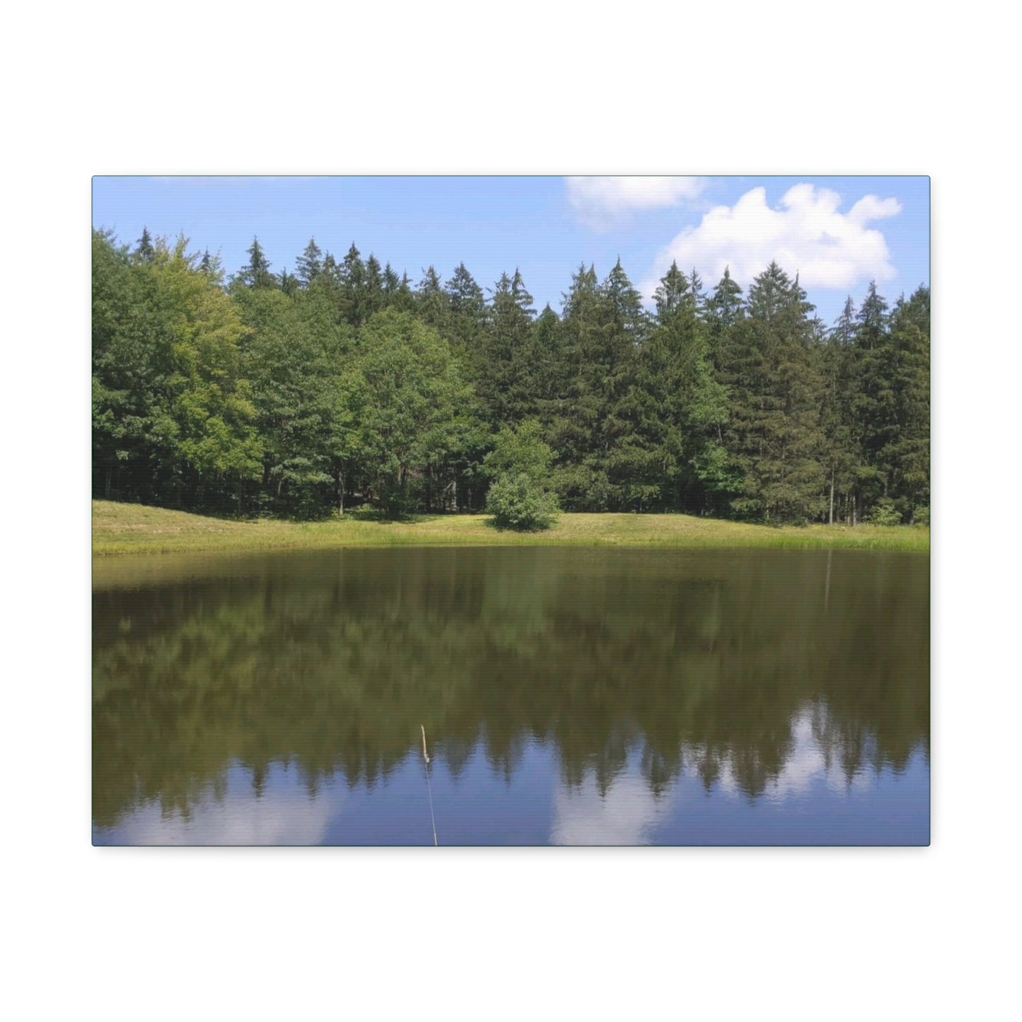 Reflection Wrap Canvas (B & J Collectons) GREEN