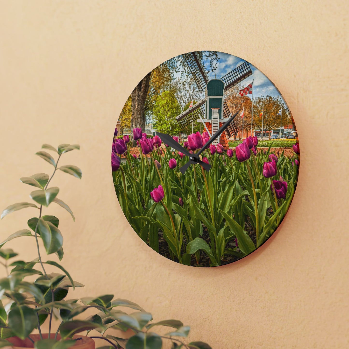 Windmill Tulip Acrylic Wall Clock (SP Photography Collection)