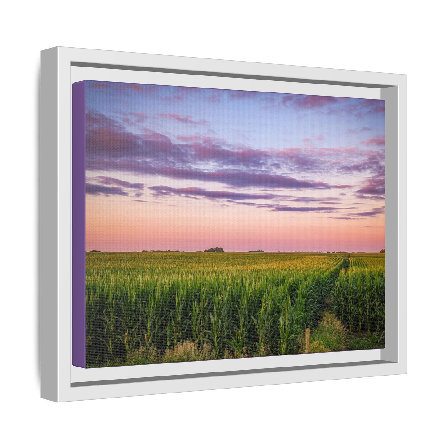 Corn Field Sunset Matte Canvas, Framed (Multi-color) (SP Photography Collection)