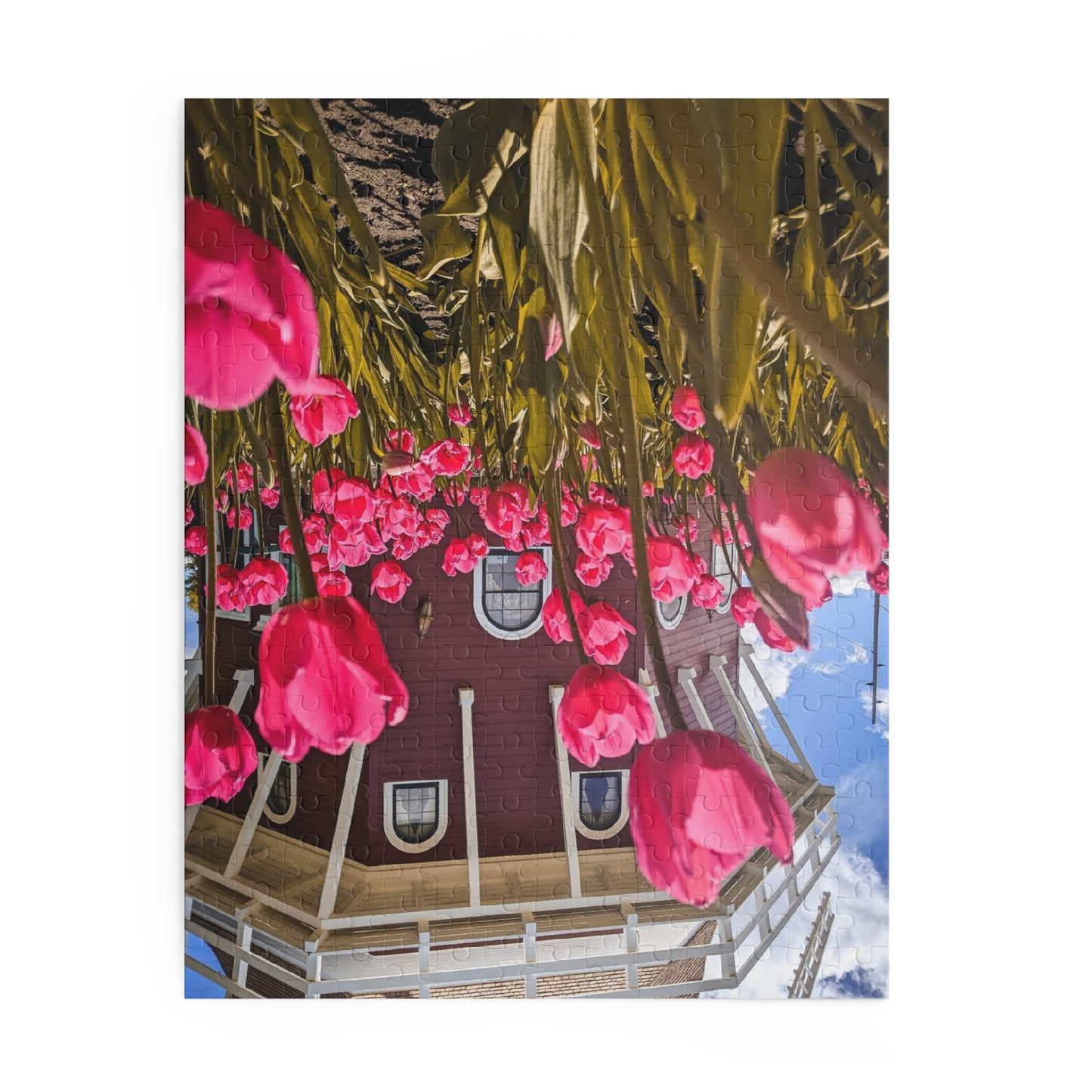 Windmill Pink Tulips Puzzle (SP Photography Collection) (120, 252, 500-Piece)
