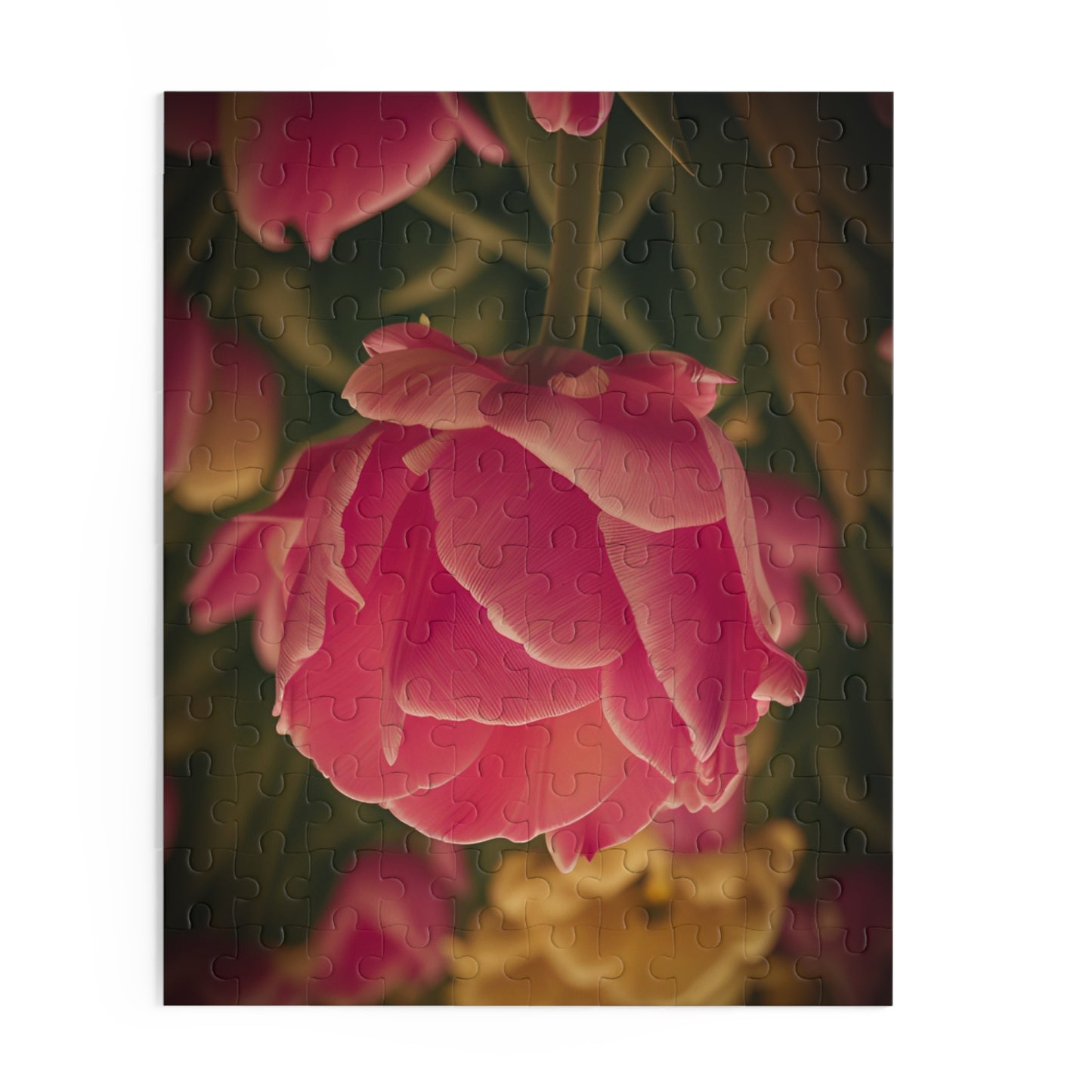 Pink Buttercup Puzzle (SP Photography Collection) (120, 252, 500-Piece)