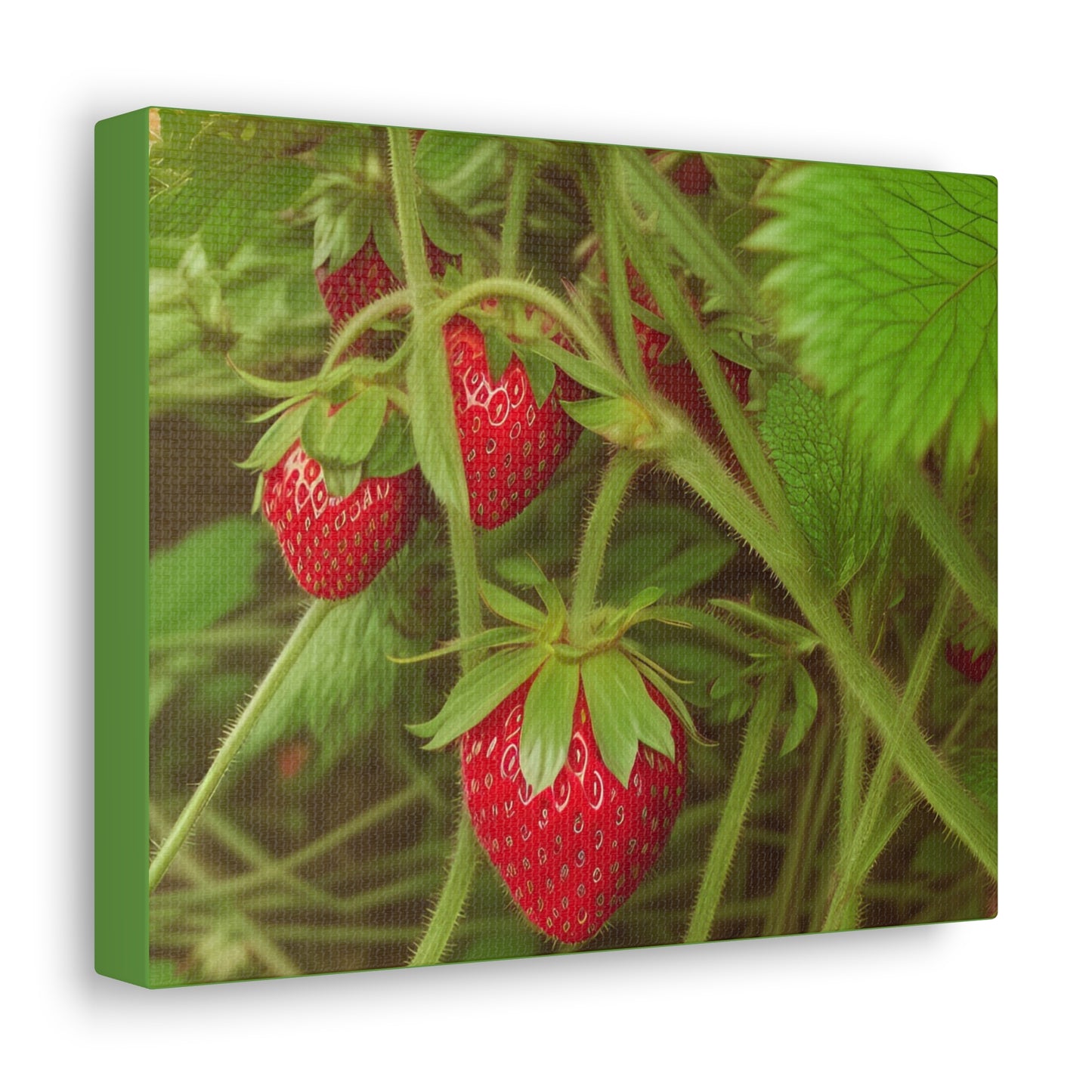 Strawberry Canvas Gallery Wrap (SP Photography Collection)