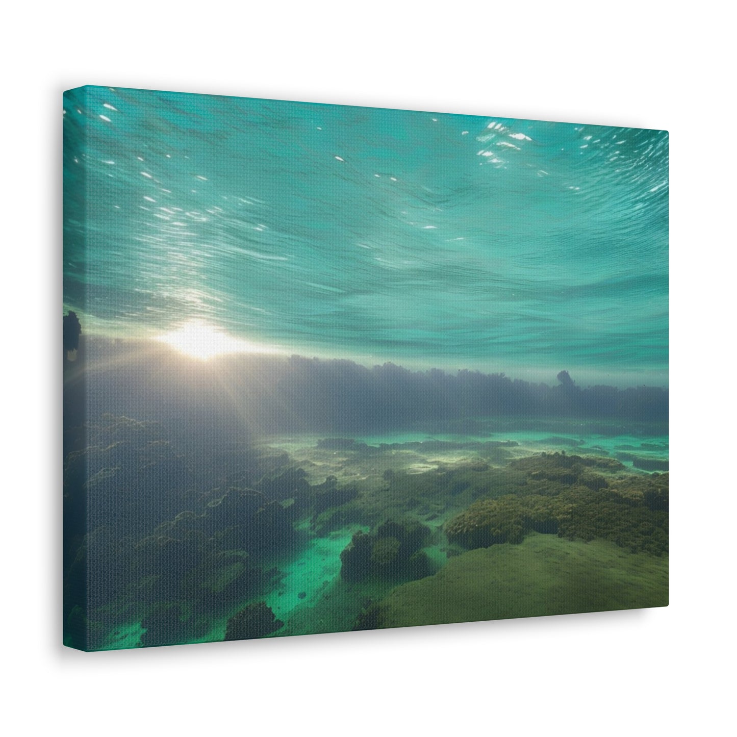Under The Sea Canvas Gallery Wraps Black (SP Photography Collection)