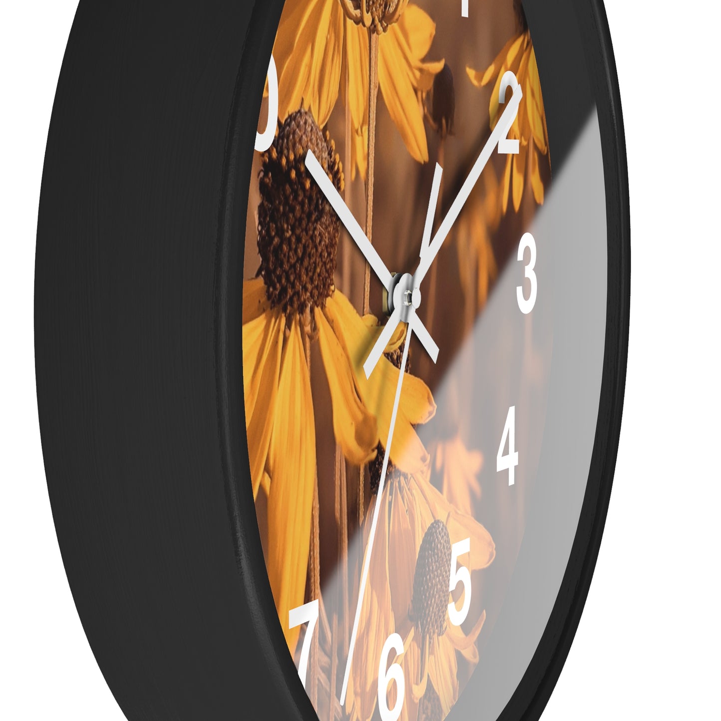 Coneflower Clock (SP Photography Collection)