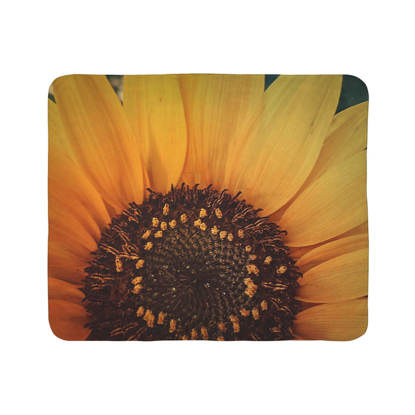 Sun Ray Sunflower Fleece Sherpa Blanket (SP Photography Collection)