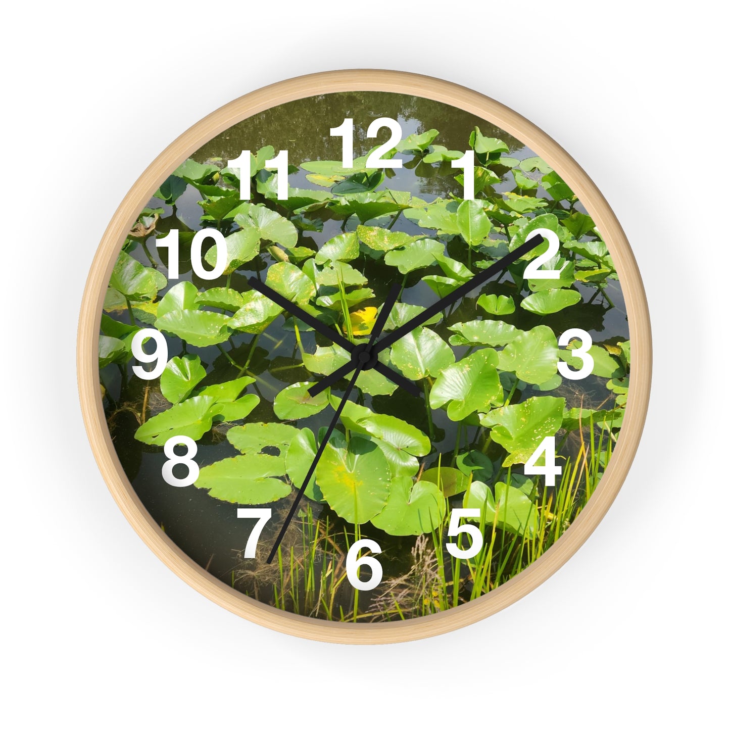 Lily Pad Wall Clock (B & J Collections)