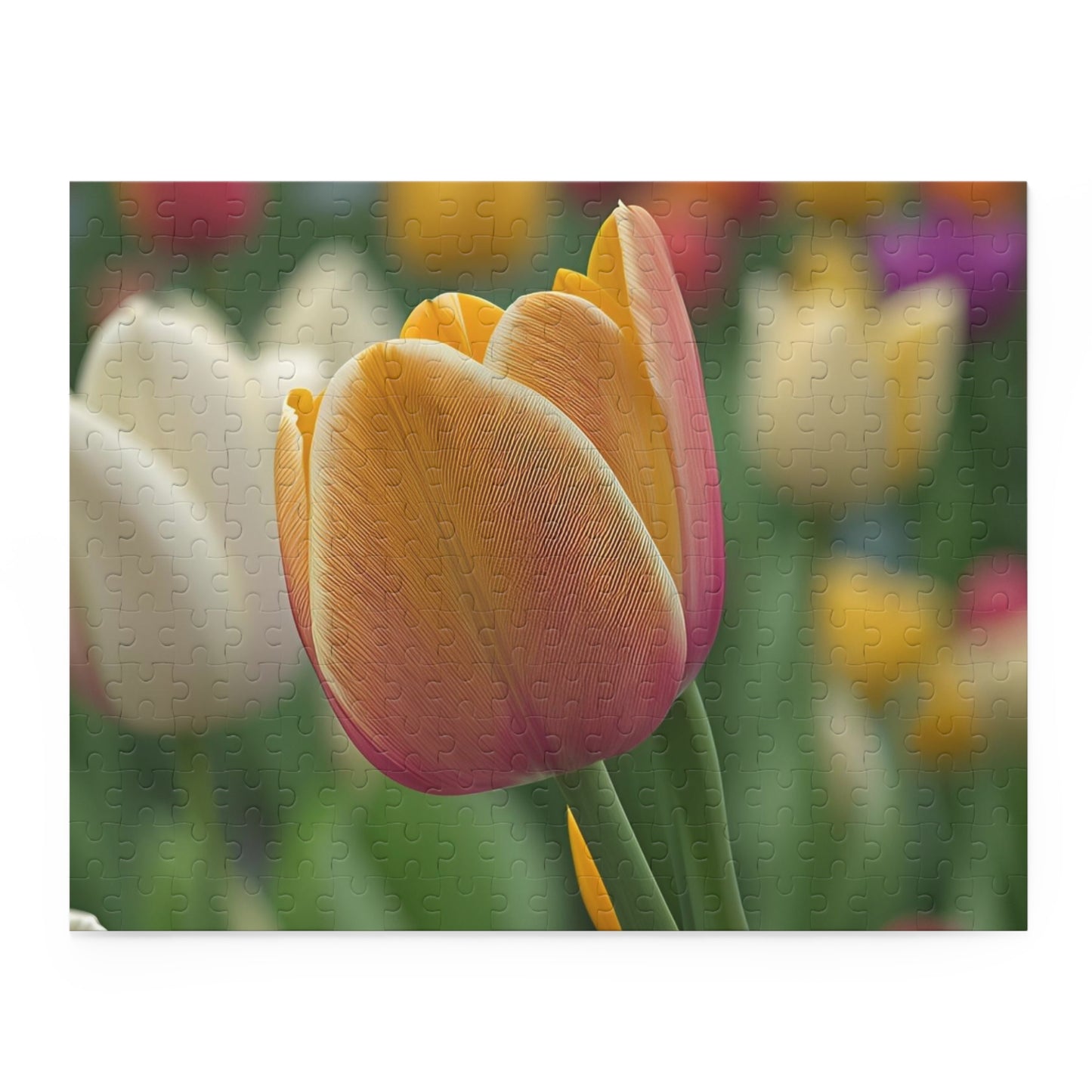 Orange Tulip Puzzle (SP Photography Collection 120, 252, 500-Piece)