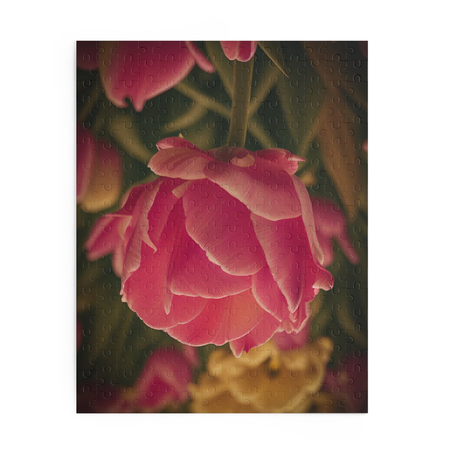 Pink Buttercup Puzzle (SP Photography Collection) (120, 252, 500-Piece)