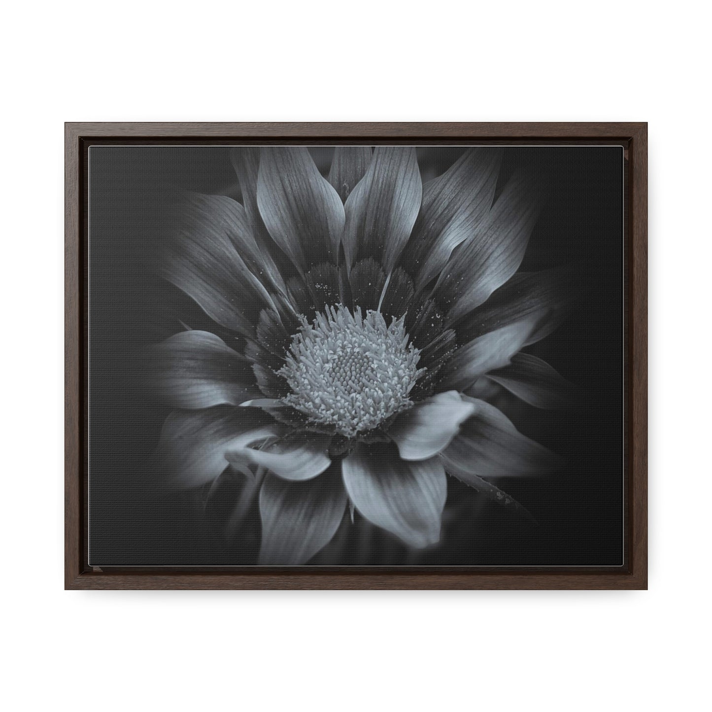 Midnight Bloom Horizontal Frame (SP Photography Collection)