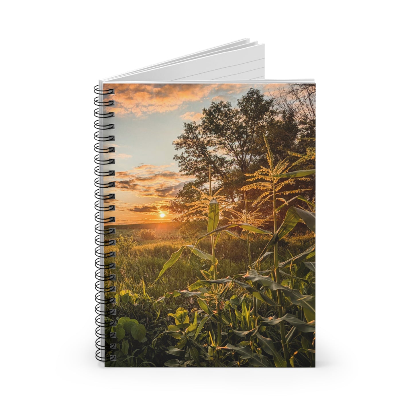Corn Sunset Notebook (SP Photography Collection)