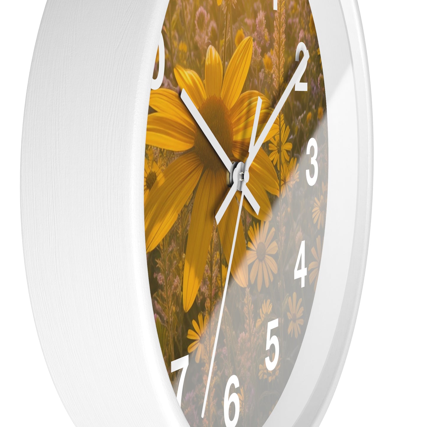 Narrow leaf Clock (SP Photography Collection)