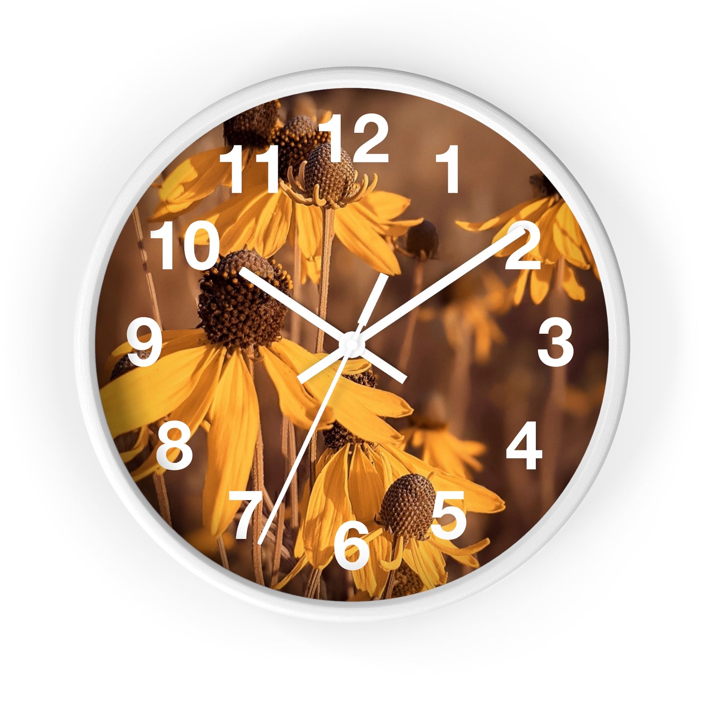 Coneflower Clock (SP Photography Collection)