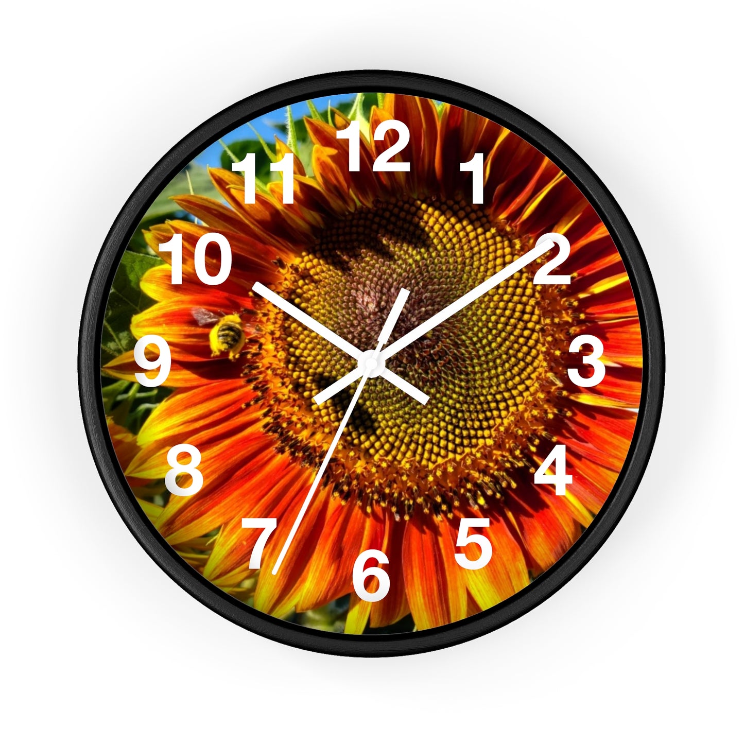 Bumble Bee Sunflower Wall Clock (Enchanted Exposures By Tammy Lyne)