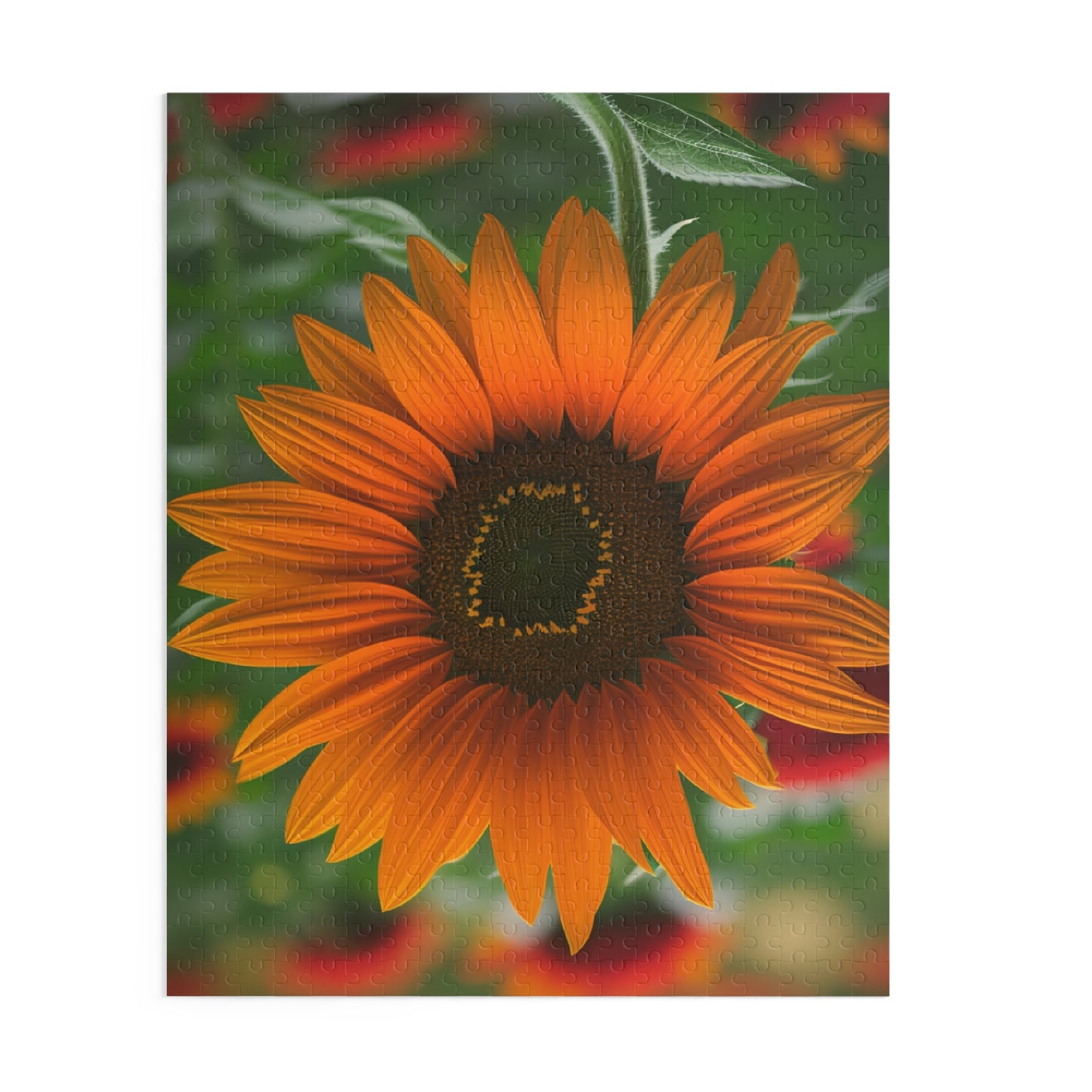 Orange Sunflower Puzzle (SP Photography Collection) (120, 252, 500-Piece)