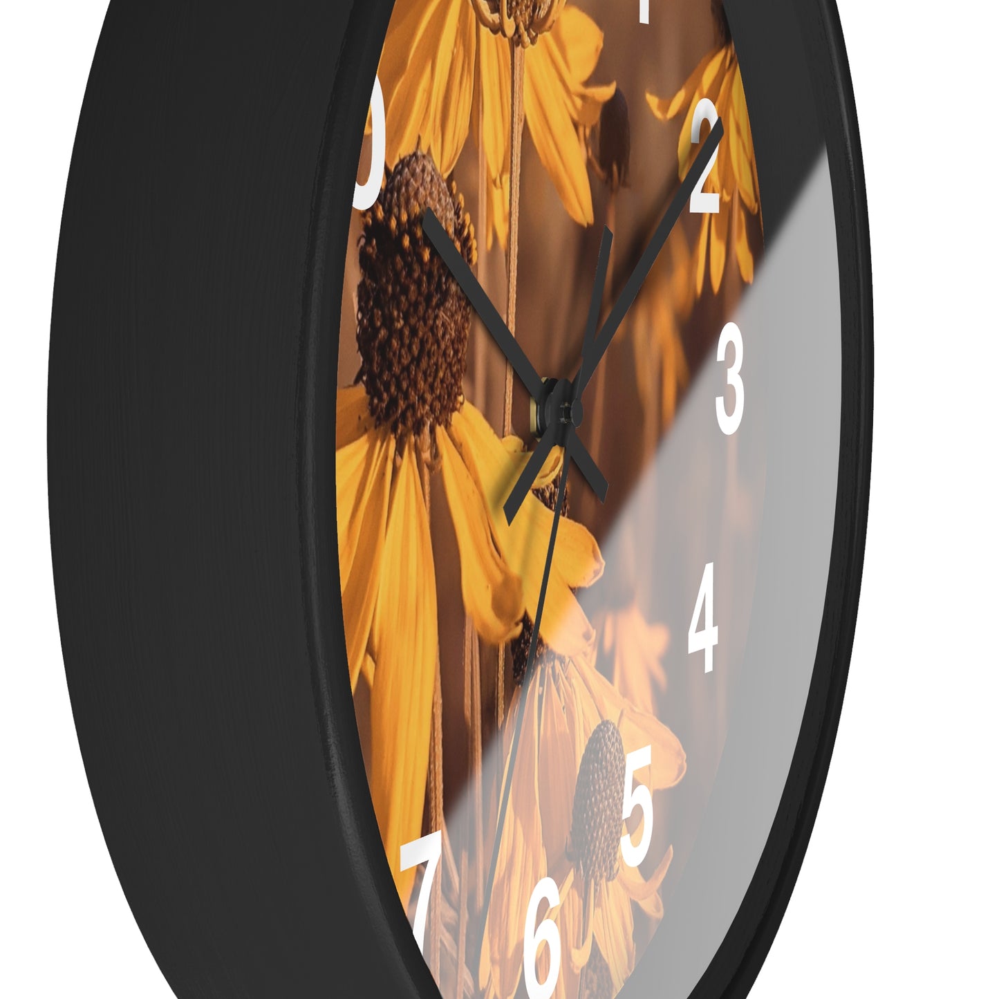 Coneflower Clock (SP Photography Collection)