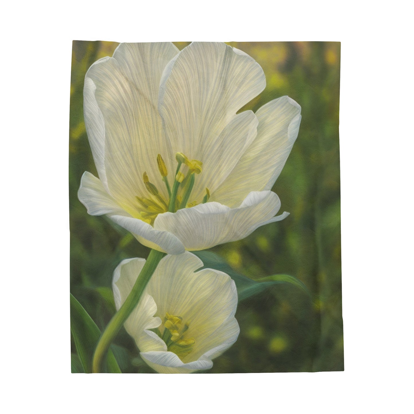 White Tulip Plush Blanket (SP Photography Collection)