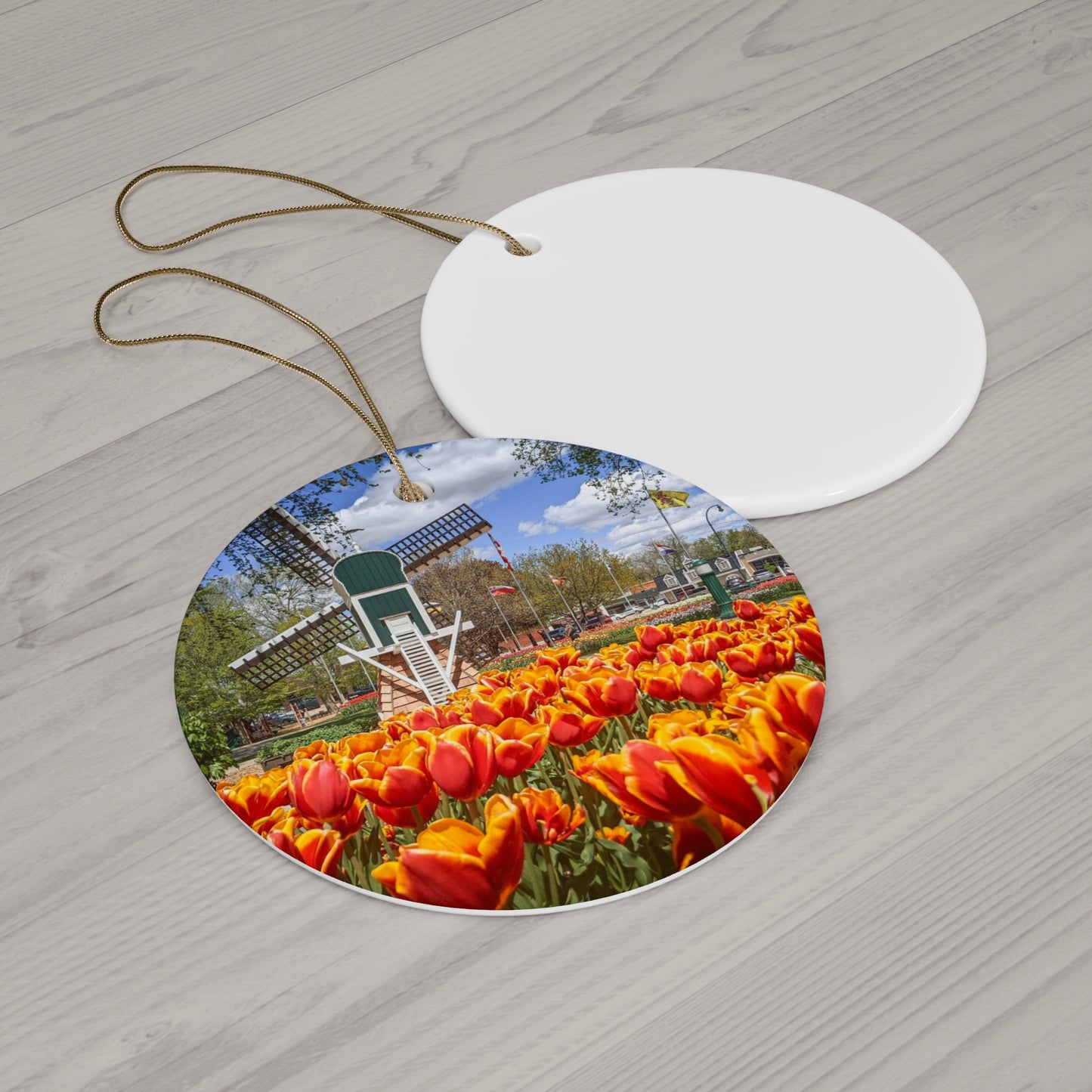 Windmill Garden Ornament (SP Photography Collection)