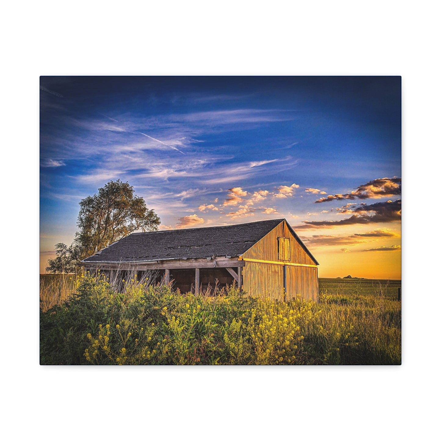 Beautiful Barn Wrap Canvas (SP Photography Collection)