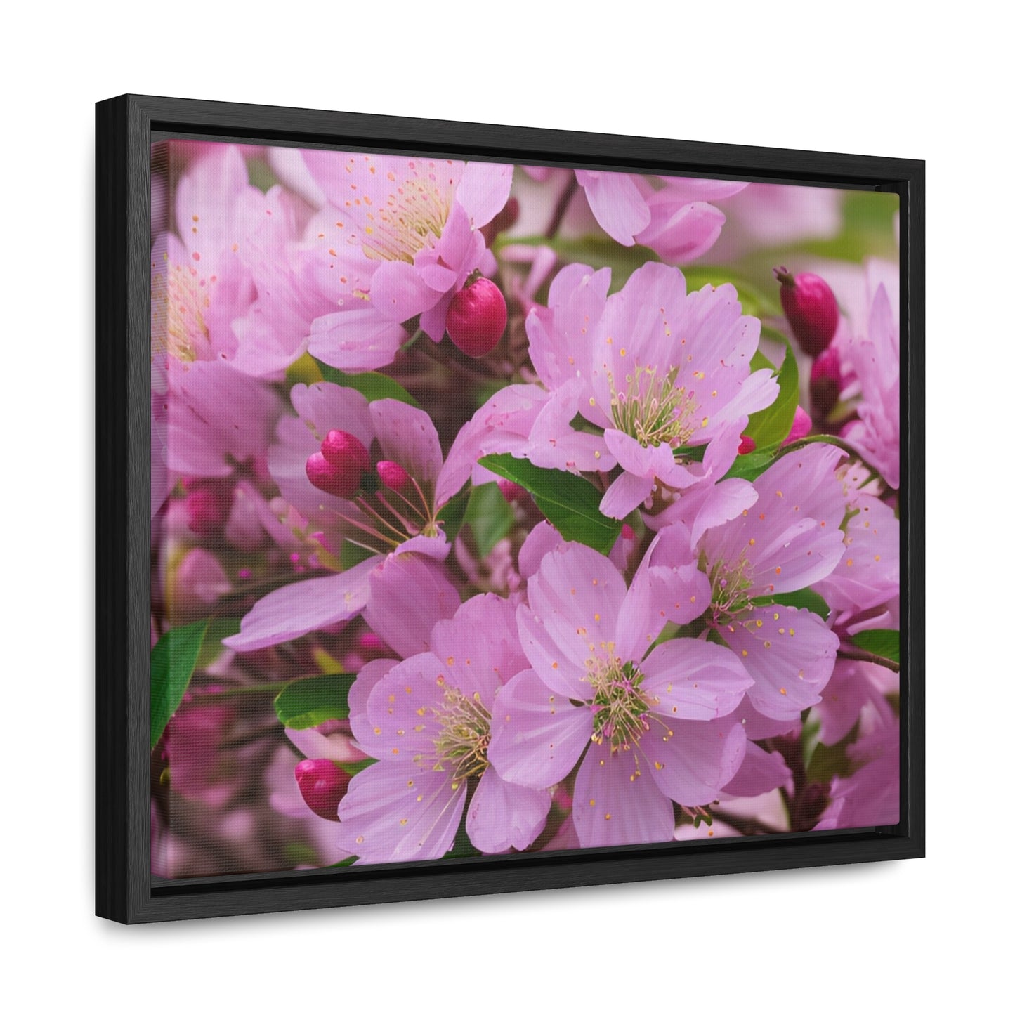 Cherry Blossom Canvas, Horizontal(Sp Photography Collection)