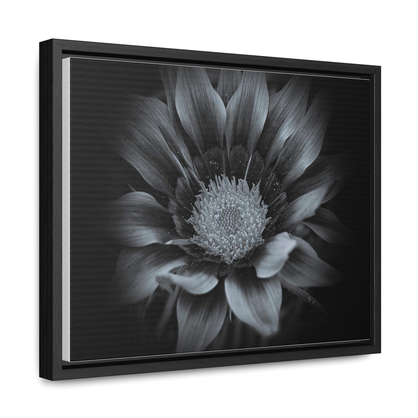 Midnight Bloom Horizontal Frame (SP Photography Collection)