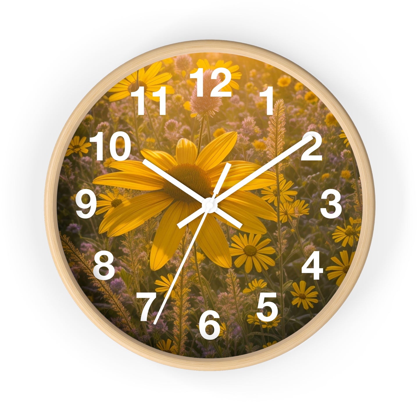 Narrow leaf Clock (SP Photography Collection)
