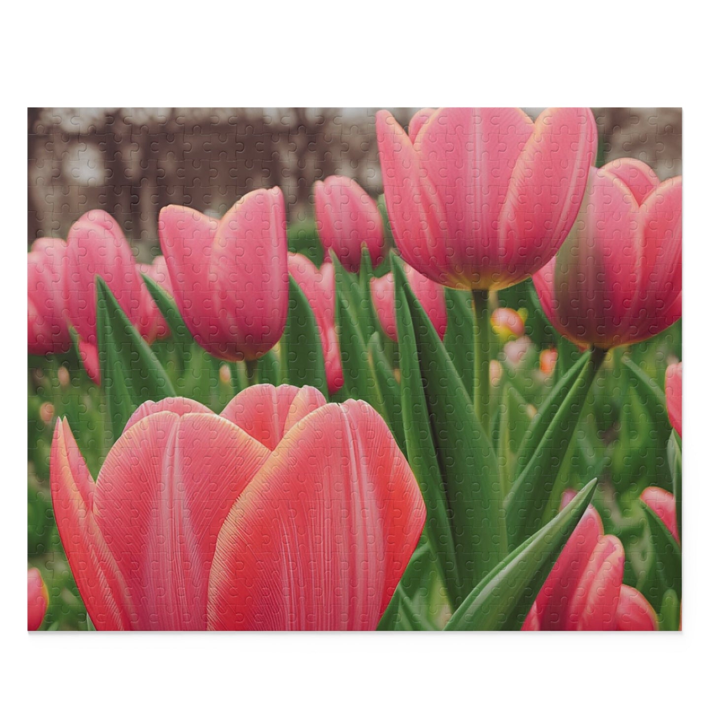Tulips Puzzle (SP Photography Collection) (120, 252, 500-Piece)