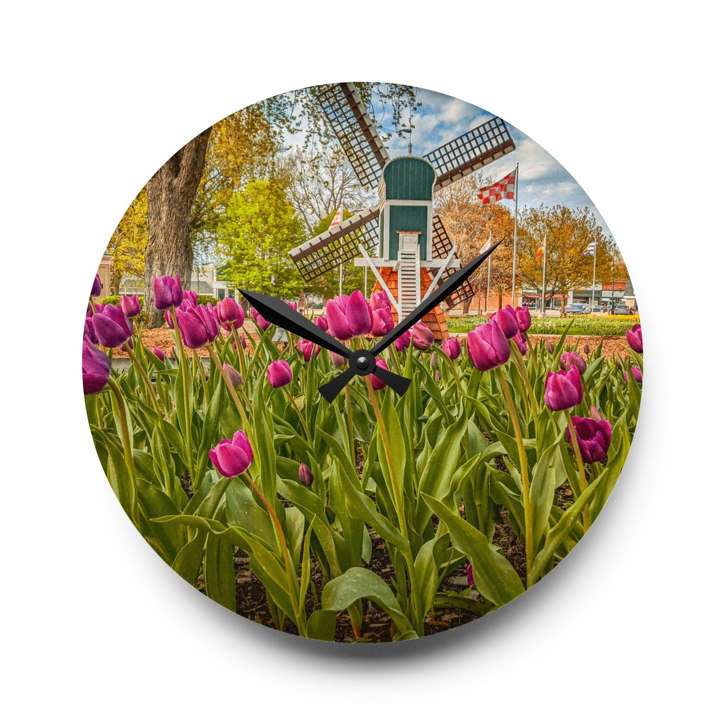 Windmill Tulip Acrylic Wall Clock (SP Photography Collection)