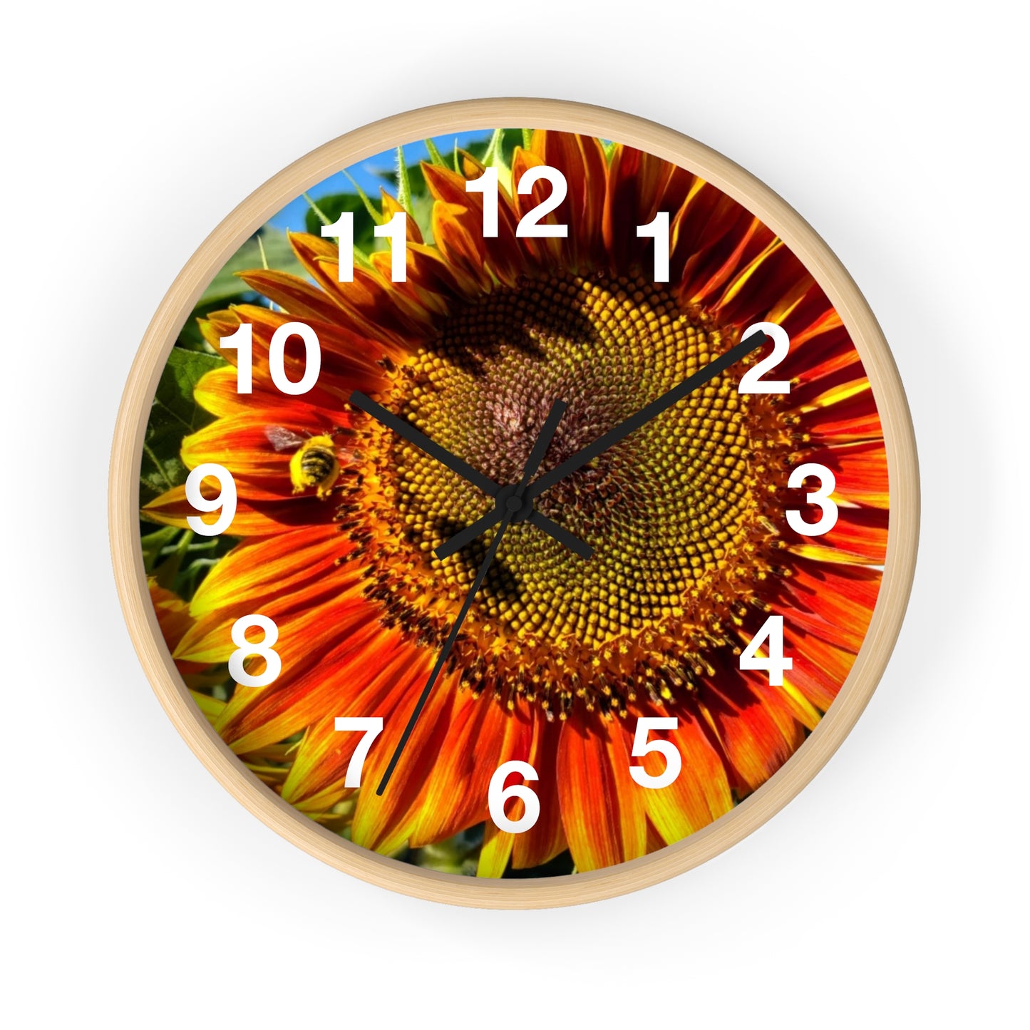 Bumble Bee Sunflower Wall Clock (Enchanted Exposures By Tammy Lyne)