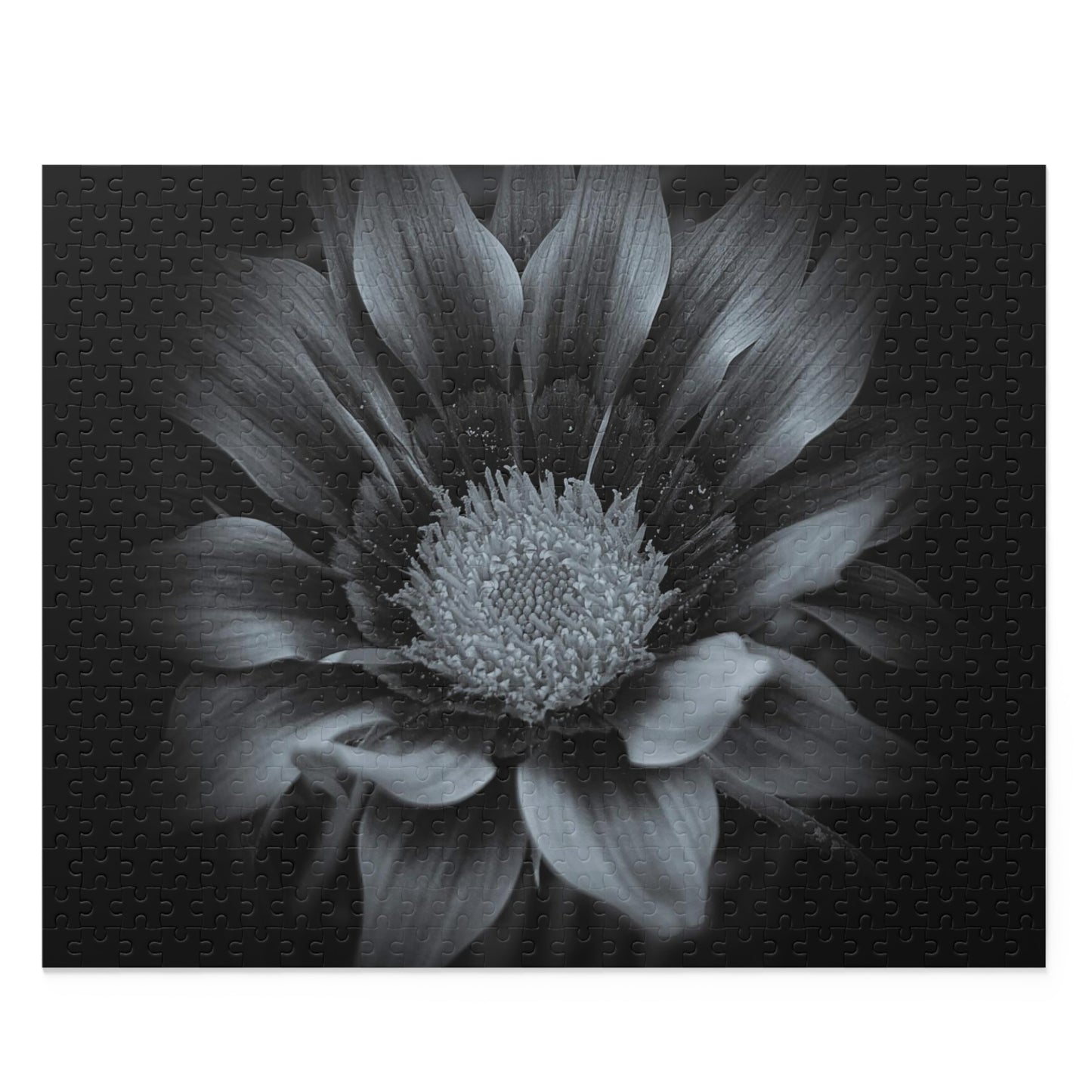 Midnight Bloom Puzzle (SP Photography Collection 120, 252, 500-Piece)