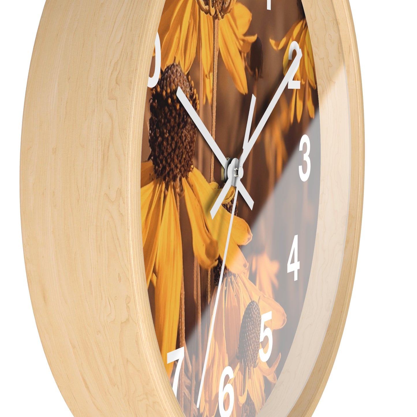 Coneflower Clock (SP Photography Collection)